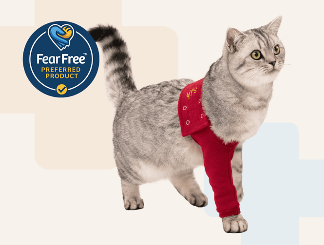 Hovedbilde Forbeinsbeskyttelse KATT