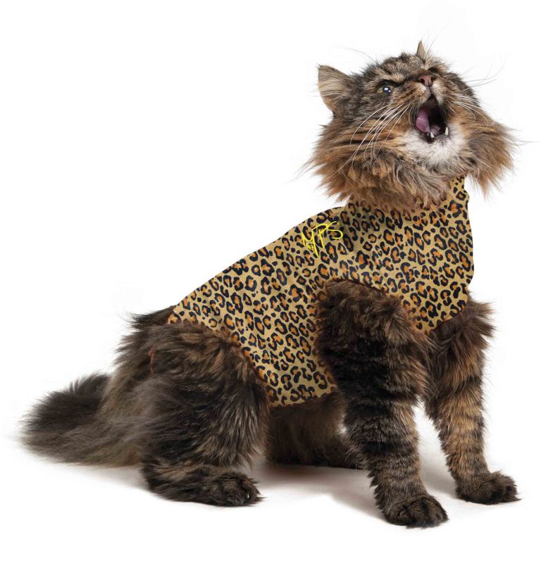 Leopardbody katt