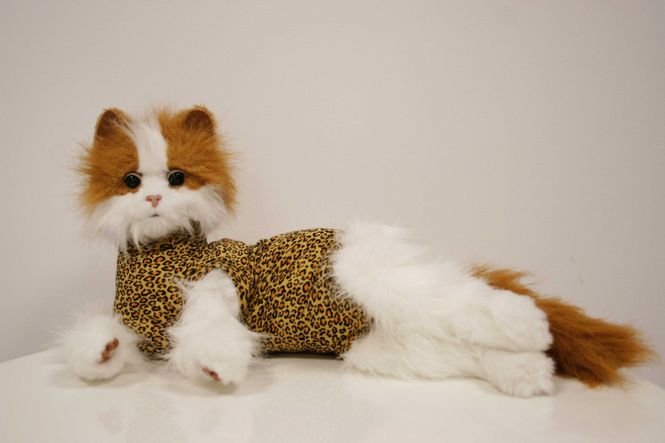 Hovedbilde Leopardbody katt